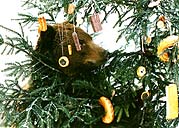 Bear Christmas at the Český Krumlov Castle 