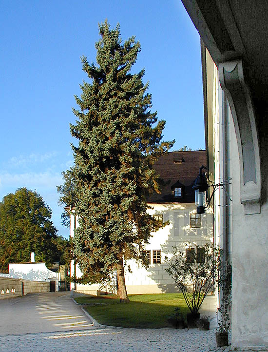 Český Krumlov Castle, V. courtyard, foto: Zdena Flašková