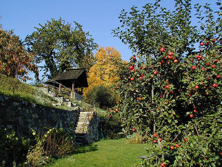Schlossgarten Český Krumlov, Vorratsgärtnerei, 2000, Foto: Lubor Mrázek
