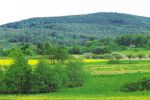 Kamenná - Žumberk - Děkanské Skaliny - Ličov, 22 km