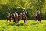 Agrotourism and Horse-riding