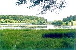 Pláničský rybník